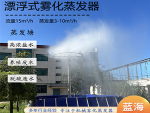 漂浮式霧化蒸發(fā)器